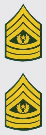 Us Army E 9 Command Sgt Major Rank 2 Piece Decal North Bay Listings