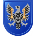 11th Theater Aviation Command Decal   