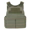 HAYDEN PLATE CARRIER WITH ASSAULT PACK