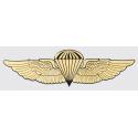 Marine-Navy Jump Wings Decal