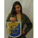 8th Special Forces Group all metal Sign  10 x 12" 