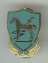 ARMY Special Forces 10th Group Trojan Horse Pin