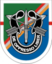 75th Ranger Regiment 1st Battalian Flash - Special Forces