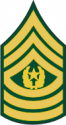 Army E-9 CSM Command Sergeant Major