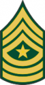 Army E-9 SGM Sergeant Major