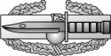 Combat Action Badge Decal