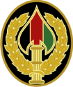 Combat Service Identification Badge, Special Operations Joint Task Force Afghani