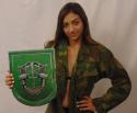 Special Forces 10th SF Group all metal Sign  10 x 12" 