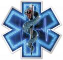 SILVER SNAKE EMT FULL DECAL