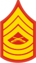 E-8 MSGT Master Sergeant (Gold)  Decal
