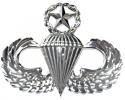 MASTER PARACHUTIST METAL AUTO EMBLEM