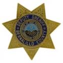 Bernalillo, NM Police Badge Pin