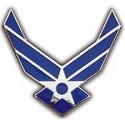 Air Force HAP Wings Pin