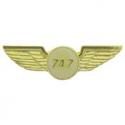  Boeing 747 Wings Aircraft Pin