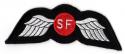 OSS Wing Patch