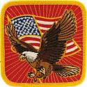 Eagle and Flag Patch