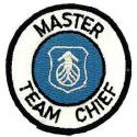 Air Force Master Team Chief Patch