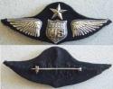 WWI Eisenstadt Dallas Military Aviator Wing Sterling 