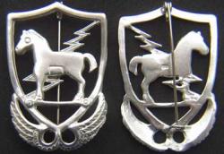 10th Special Forces 1950's beret badge Sterling Silver