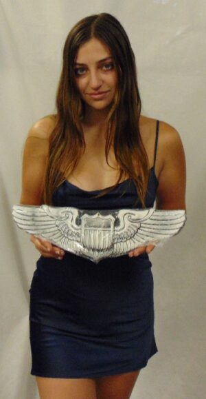 Air Force Basic Pilots Wings all Metal Sign (Large) 16 x 5" SOG599