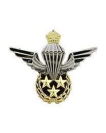 IRAN JUMP Wings (2-1/4")