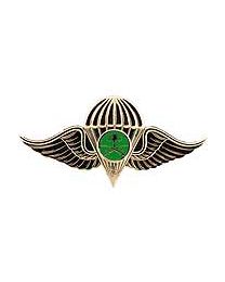 SAUDI JUMP Wings (2-1/2")