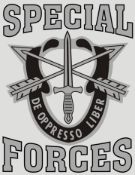 Mylar Decal - Special Forces Unit Crest 3.5 x 4.5