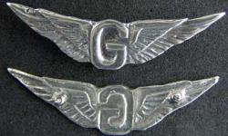 Vietnam US Helicopter Door Gunner Wing Sterling