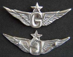 Vietnam US Helicopter Senior Door Gunner Wing Sterling