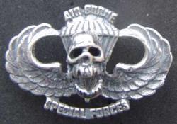 Vietnam MACVSOG SF Airborne Paratrooper Skull Badge Sterling