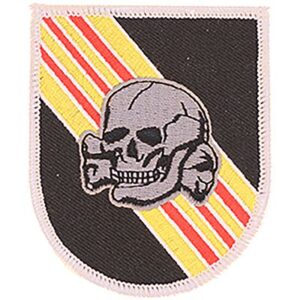 Special Forces 5th Group Skull Patch
