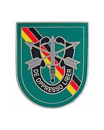 10th Special Forces Pin