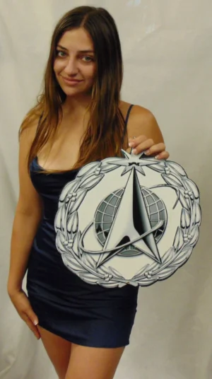 United States of America SPACE FORCE USSF STAFF CAP DEVICE All Metal Sign 15 x 15"