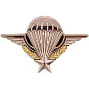 WING-FRENCH,JUMP (2-11/16")