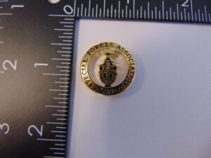 Special Forces Association Life Member Pin