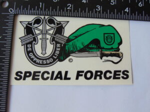 Special Forces Flash and Beret with Knife Decal