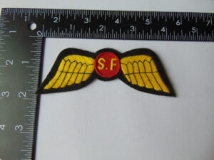 OSS Wings Special Forces Patch