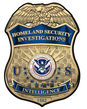 Federal HOMELAND SECURITY Investigations- Personalized All Metal Sign 17 x 12"